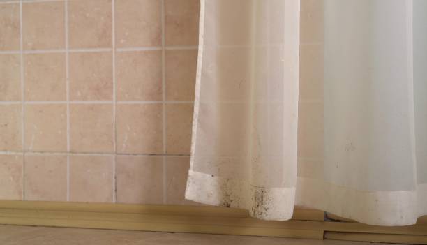 Best Commercial Mold Inspection  in Lochbuie, CO