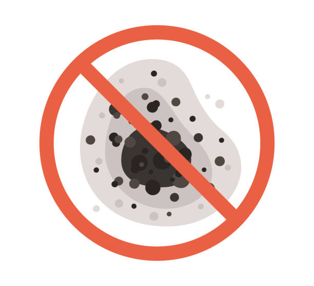 Best Emergency Mold Remediation  in Lochbuie, CO