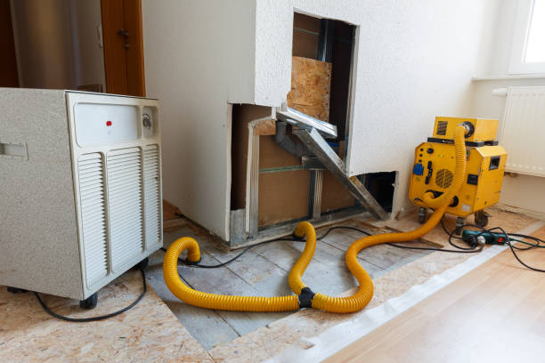 Forensic Mold Investigation in Lochbuie, CO