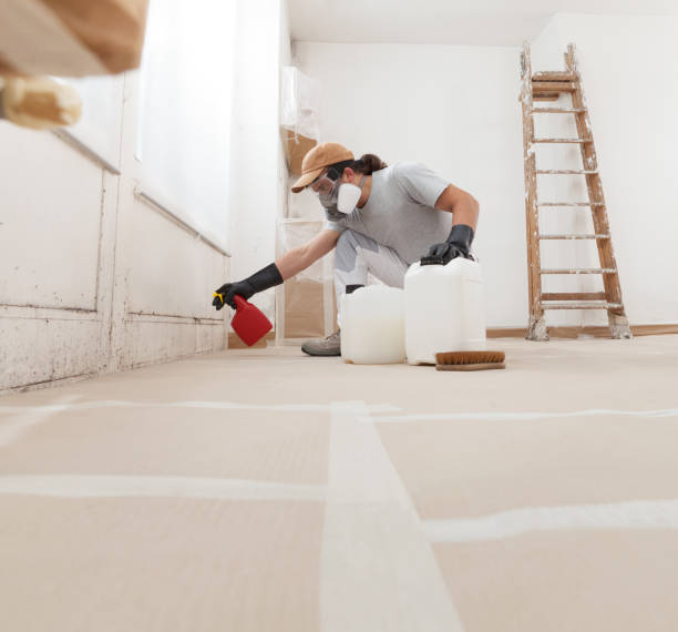 Best Mold Damage Restoration  in Lochbuie, CO