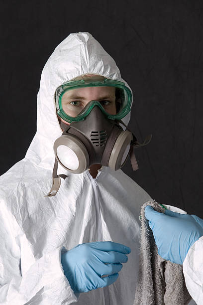 Best Water Damage & Mold Remediation  in Lochbuie, CO